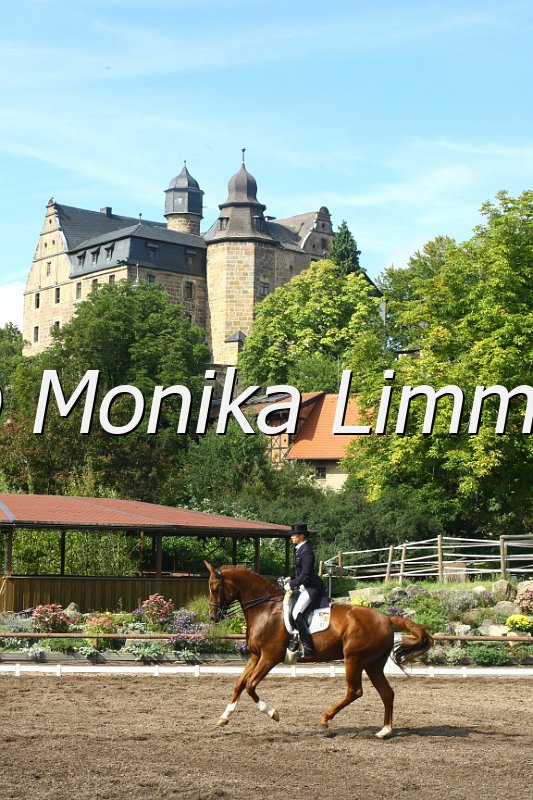 109M4425_Amicelli_Dressur S.JPG